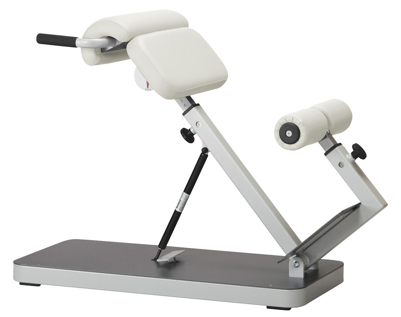 Lateral-/ Lumbaltrainer Reha-Line 2.0
