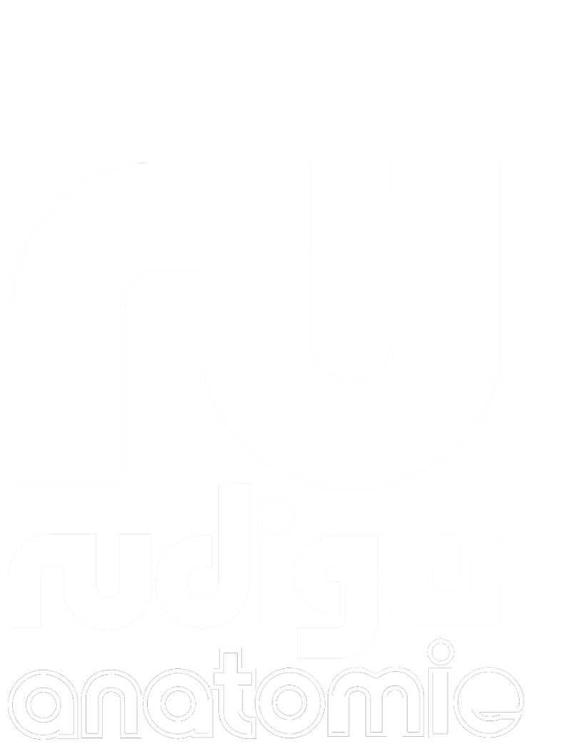 Rüdiger Anatomie