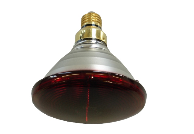 Ersatzlampe für Rotlichtstrahler 150 W